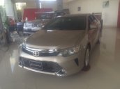 Cần bán xe Toyota Camry 2.0 E đời 2016, màu xám