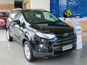 Ford Ecosport Titanium đời 2017, đủ màu, giao xe ngay, hỗ trợ trả góp 7 năm, tặng phụ kiện theo xe, liên hệ 0938765376