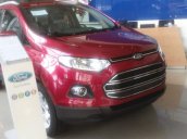 Ford Ecosport Titanium giao ngay, hỗ trợ vay 85%