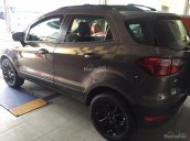 Ford Ecosport Titanium Black Edition đủ màu, hỗ trợ trả góp, giao xe ngay, tặng phụ kiện theo xe, bảo dưỡng chính hãng