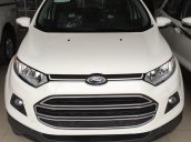 Bán Ford EcoSport MT 2017 khuyến mãi lên đến 100tr, hỗ trợ vay 70-80%/6 năm