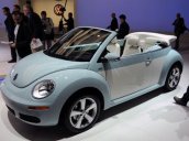 Cần bán lại xe Volkswagen New Beetle năm 2004, màu xanh ngọc