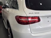 Cần bán Mercedes GLC 250/ GLC 300 đời 2016, màu xanh lam/ trắng/ đỏ/ đen, giao ngay tháng 11. LH: 0985.102.300