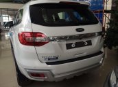 Bán Ford Everest Titanium, màu trắng, nhập khẩu