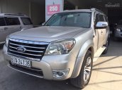 Bán Ford Everest Limited 2.2AT đời 2010, màu vàng ghi