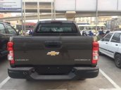 Khuyến mãi cao khi mua Chevrolet Colorado 2.5, 2 cầu: Giá 649 tr còn giảm sâu