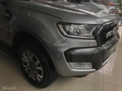 Bán Ford Ranger Wildtrak 3.2 Navigator, màu xám, nhập khẩu