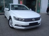 VW-Volkswagen-The New Passat, cực chất Đức, kinh điển Châu Âu-LH 0915.999.363