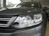 Dòng SUV Volkswagen Tiguan 2.0 TSI 4 Motion 2016, màu xám ghi, nhập khẩu Đức tặng 209 triệu, LH Hương 0902608293