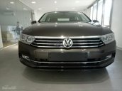 Bán xe Volkswagen Passat 1.8l TSI GP, màu nâu, xe nhập Đức. LH Hương 0902608293