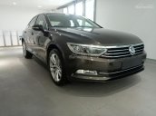 Bán xe Volkswagen Passat 1.8l TSI GP, màu nâu, xe nhập Đức. LH Hương 0902608293