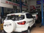 Ban xe Ford Ecosport Titanium 2016, màu trắng