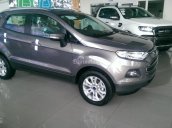 Bán Ford EcoSport Titanium sản xuất 2017, màu khác, giá 648 triệu