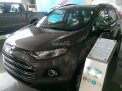 Bán Ford EcoSport Titanium sản xuất 2017, màu khác, giá 648 triệu