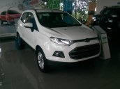 Bán Ford EcoSport Titanium sản xuất 2017, màu khác, giá 648 triệu