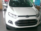 Bán Ford EcoSport Titanium sản xuất 2017, màu khác, giá 648 triệu