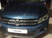 Volkswagen Tiguan 2.0 TSI, 4 Motion đời 2016, màu xanh lam, dòng SUV nhập Đức, LH Hương 0902608293