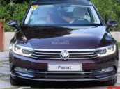 Dòng Sedan nhập Đức Volkswagen Passat 1.8l GP , màu đỏ mận, tặng 149 triệu tiền mặt, LH Hương: 0902.608.293