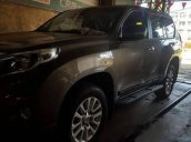 Xe Toyota Land Cruiser đời 2014, nhập khẩu chính hãng