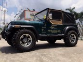 Cần bán xe Jeep Wrangler năm 1995, nhập khẩu chính hãng số sàn, 440tr