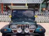 Cần bán xe Jeep Wrangler năm 1995, nhập khẩu chính hãng số sàn, 440tr