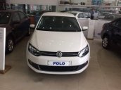 Volkswagen Đà Nẵng cần bán Volkswagen Polo AT đời 2015, nhập khẩu, giá chỉ 632 triệu