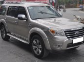 Bán xe Ford Everest sản xuất 2010, màu vàng cát, giá cạnh tranh