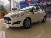 Bán xe Ford Fiesta giá rẻ 1.0L Ecoboost mới 100%, xe tiết kiệm nhiên liệu, giao xe ngay hỗ trợ trả góp 80%