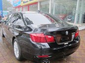 Trúc Anh Auto cần bán xe BMW 5 Series 520i năm 2015, màu đen, nhập khẩu