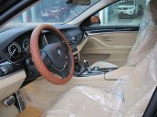 Trúc Anh Auto cần bán xe BMW 5 Series 520i năm 2015, màu đen, nhập khẩu