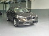 Bán BMW X1 tại Qui Nhơn