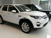 Landrover Discovery Sport HSE Luxury, khuyến mại hấp dẫn nhân dịp Tết Đinh Dậu 2017