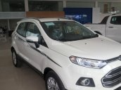 Ford Long Biên: Ford Ecosport 1.5L AT, giá 590tr. LH: Mr. Dũng: 0968.699.754