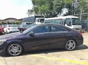 Bán Mercedes CLA 250 4Matic sản xuất 2014, màu tím