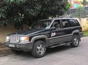 Cần bán Jeep Grand Cheroke 1994, màu đen, nhập khẩu, giá 225tr