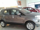 Bán ô tô Ford EcoSport Titanium 1.5 AT đời 2016, màu xanh lam, giá 600tr