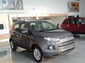 Bán ô tô Ford EcoSport Titanium 1.5 AT đời 2016, màu xanh lam, giá 600tr