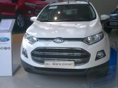 Bán xe Ford EcoSport Titanium đời 2017, 585tr, xe đủ màu giao ngay toàn quốc - MS Ngân: 0933. 639.402