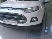 Bán xe Ford EcoSport Titanium đời 2017, 585tr, xe đủ màu giao ngay toàn quốc - MS Ngân: 0933. 639.402