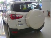 Bán xe Ford EcoSport Titanium đời 2017, 585tr, xe đủ màu giao ngay toàn quốc - MS Ngân: 0933. 639.402