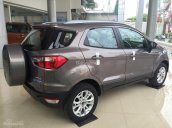 Bán ô tô Ford EcoSport đời 2017, màu xám, giá cạnh tranh