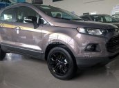 Bán ô tô Ford EcoSport đời 2017, màu xám, giá cạnh tranh