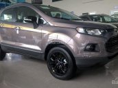 Bán ô tô Ford EcoSport đời 2017, màu xám, giá cạnh tranh