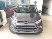 Bán ô tô Ford EcoSport đời 2017, màu xám, giá cạnh tranh