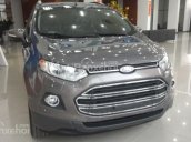 Bán ô tô Ford EcoSport đời 2017, màu xám, giá cạnh tranh