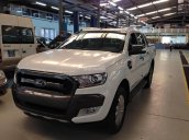 Cần bán Ford Ranger Wildtrak 3.2 đời 2017, màu trắng, nhập khẩu nguyên chiếc, giá 890tr
