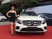 Cần bán Mercedes GLC300 đời 2017, màu trắng, nhập khẩu nguyên chiếc