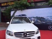 Cần bán Mercedes GLC300 đời 2017, màu trắng, nhập khẩu nguyên chiếc