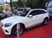 Cần bán Mercedes GLC300 đời 2017, màu trắng, nhập khẩu nguyên chiếc