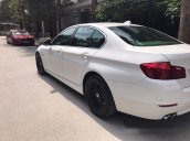 Bán BMW 5 Series 520i đời 2014, màu trắng